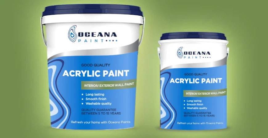 Interior and Exterior Wall Paint